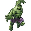shop4gifts-personalised-marvel-incredible-hulk-