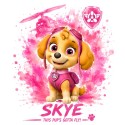 Shop4Gifts-Personalised-Paw-Patrol-Sky-