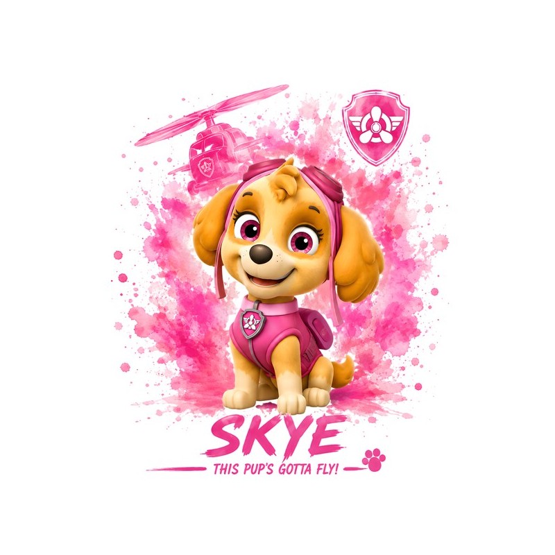 Shop4Gifts-Personalised-Paw-Patrol-Sky-